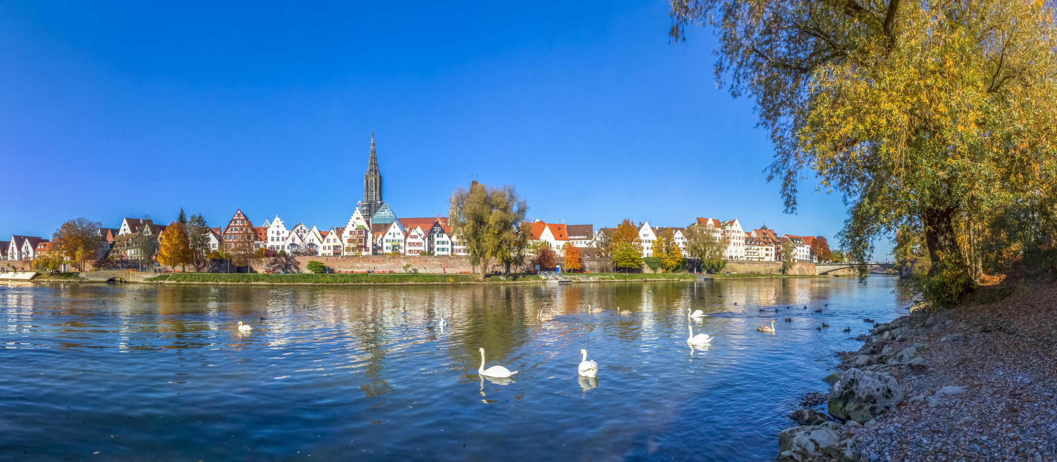 Donauuferblick auf Ulm